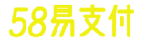 58易支付